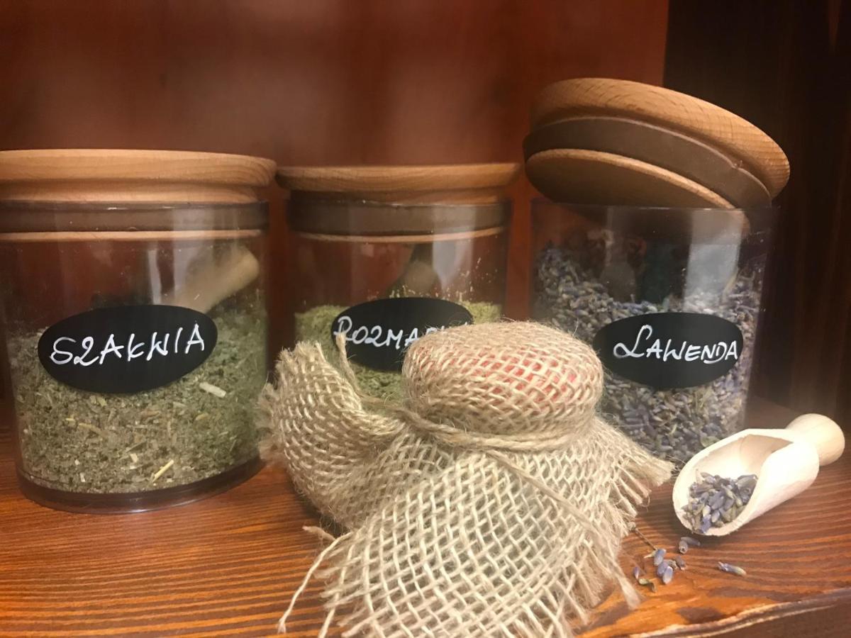 诺瓦-滑雪spa酒店 卡尔帕奇 外观 照片